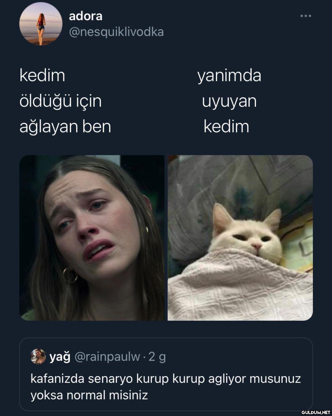 tek degilmisim...