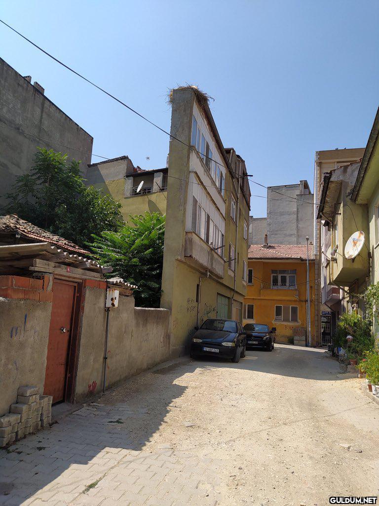 Balıkesir / Susurluk    Kaynak