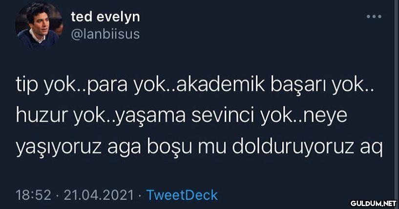 ted evelyn @lanbiisus tip...
