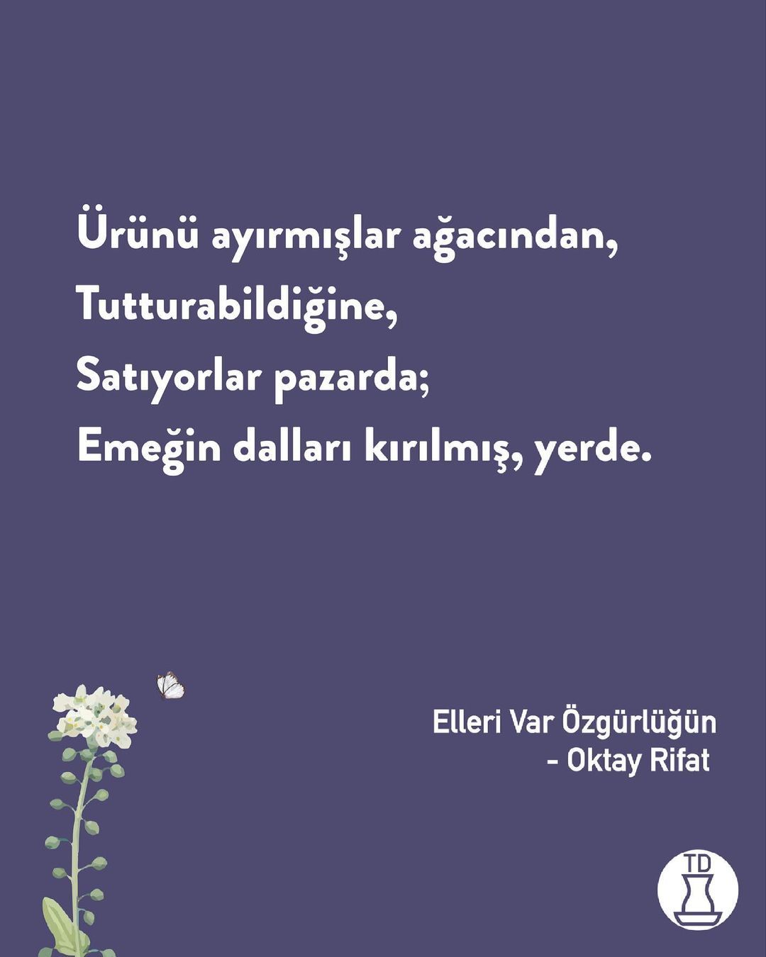 Doğum günün kutlu olsun...