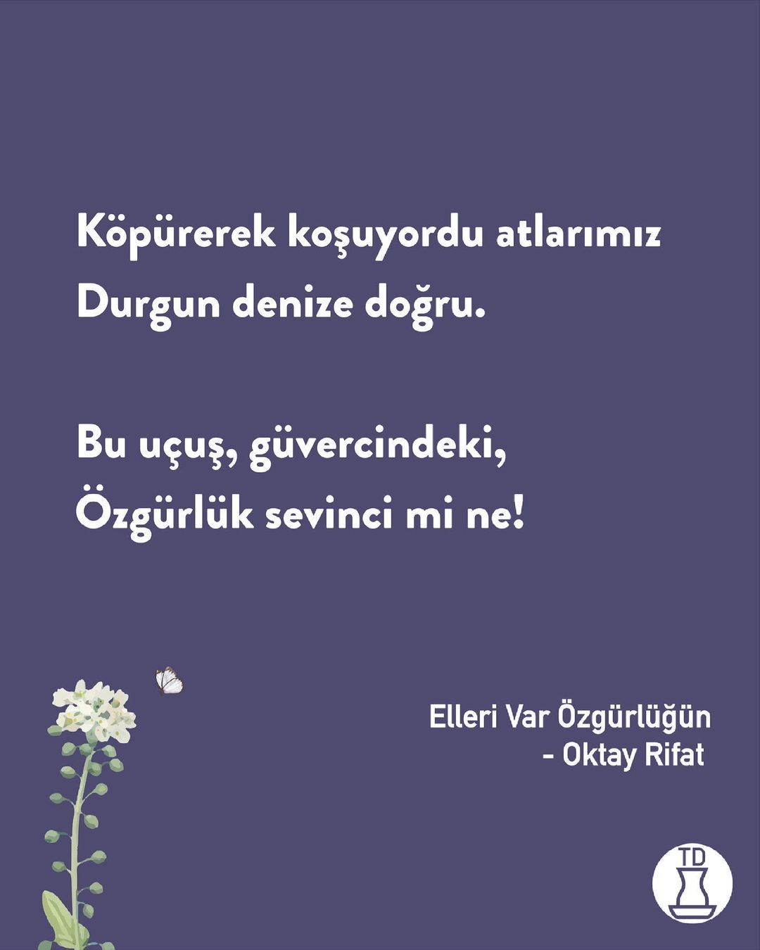 Doğum günün kutlu olsun...