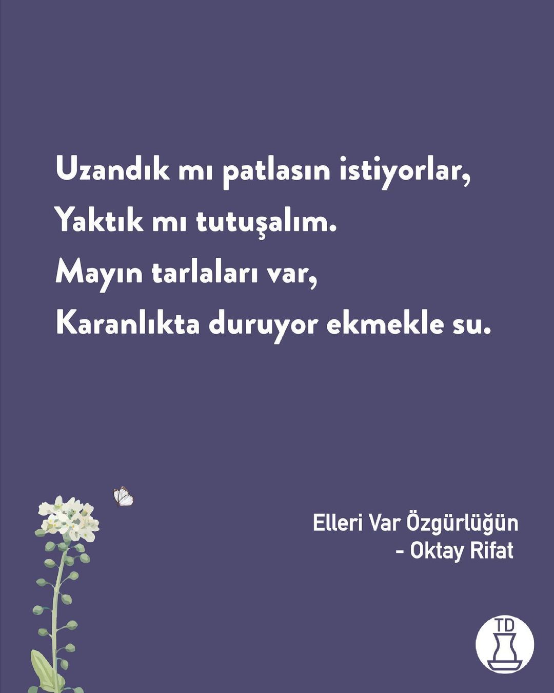 Doğum günün kutlu olsun...