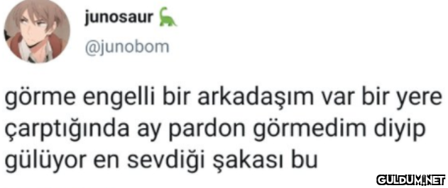 junosaur a @junobom görme...