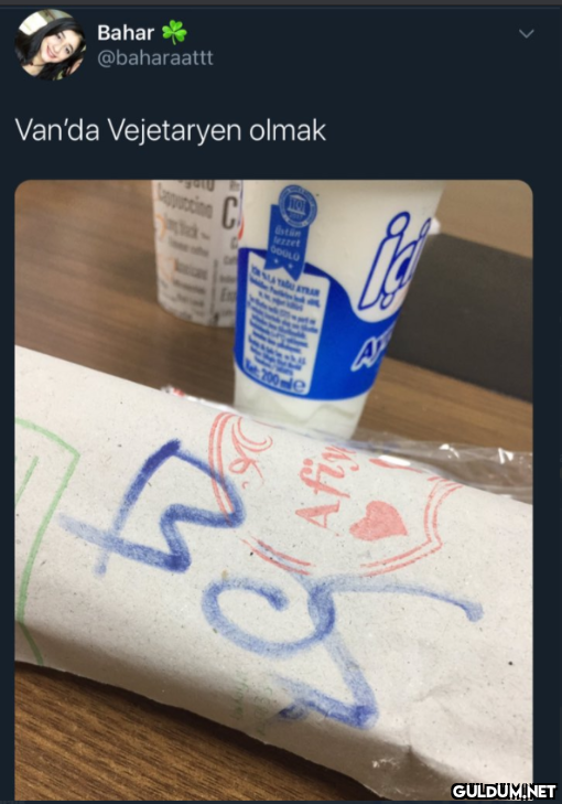 Bahar @baharaattt Van'da...