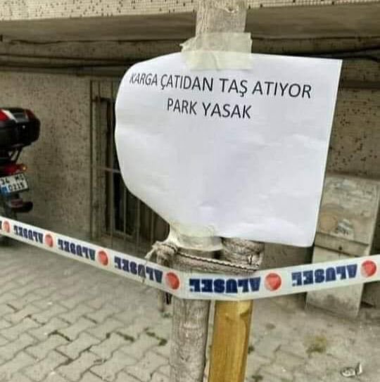 Daha haklı park yasağı...