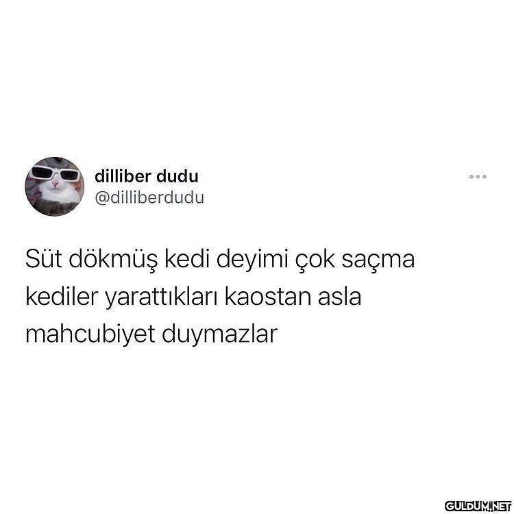 aşırı doğru...  dilliber...