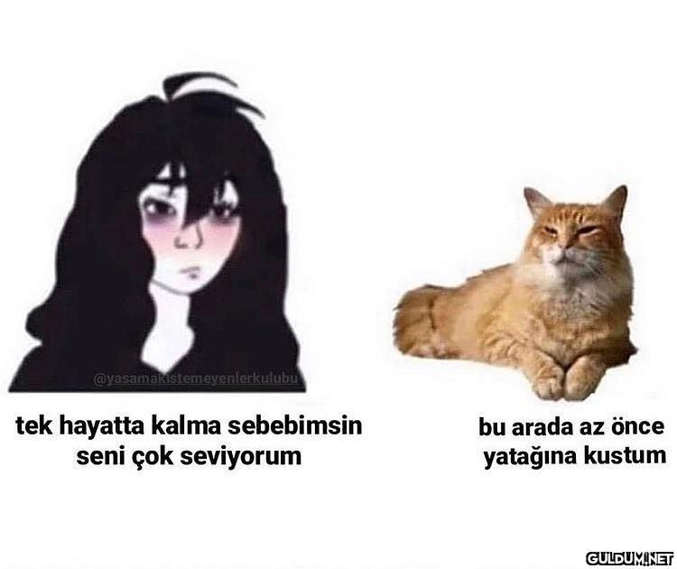 yinede seviom ...