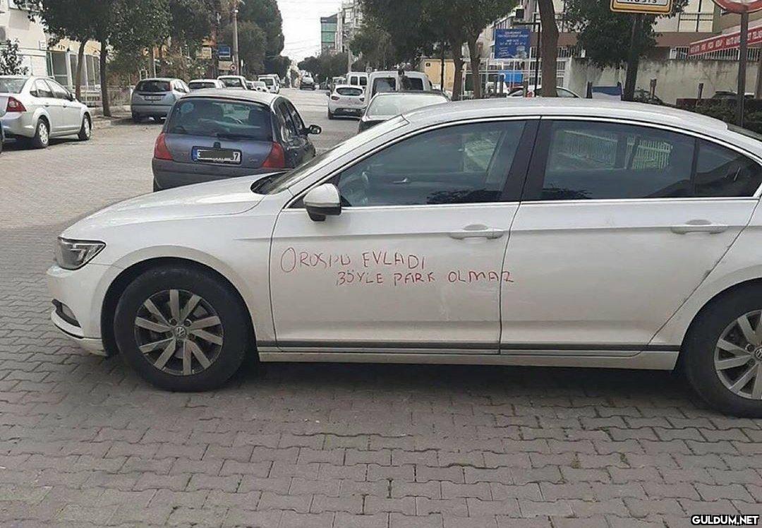 OROSIPU EVLADI 35 YLE PARK...