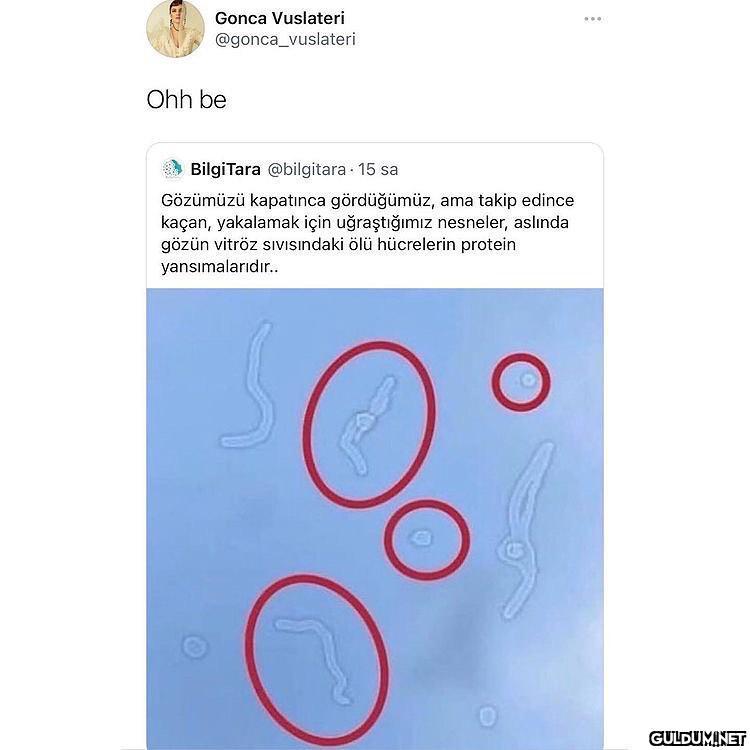 aydınlandım sonunda  Gonca...