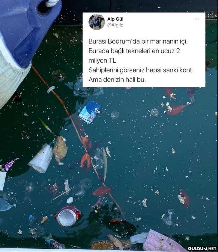 Alp Gül @Algllc Burası...