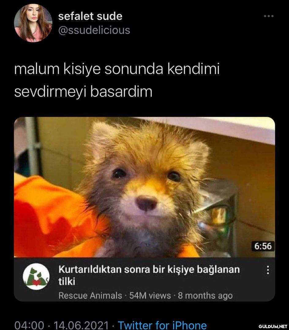 sefalet sude @ssudelicious...