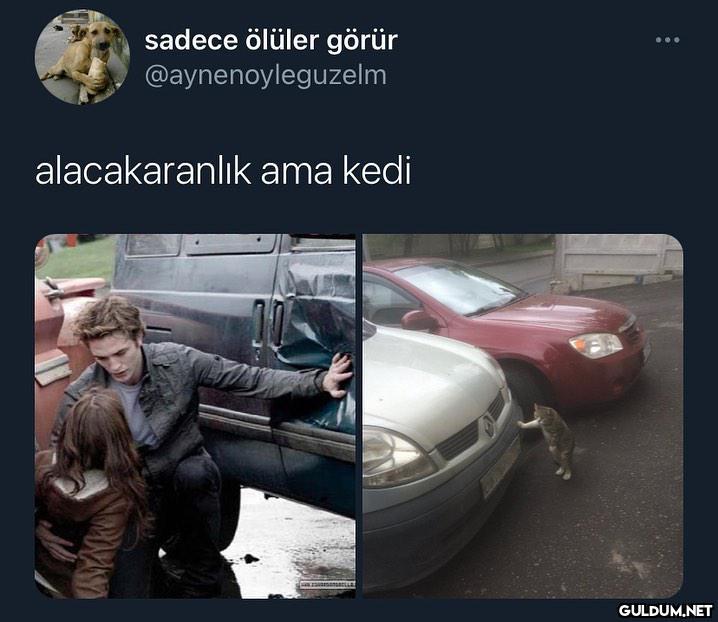 sadece ölüler görür...