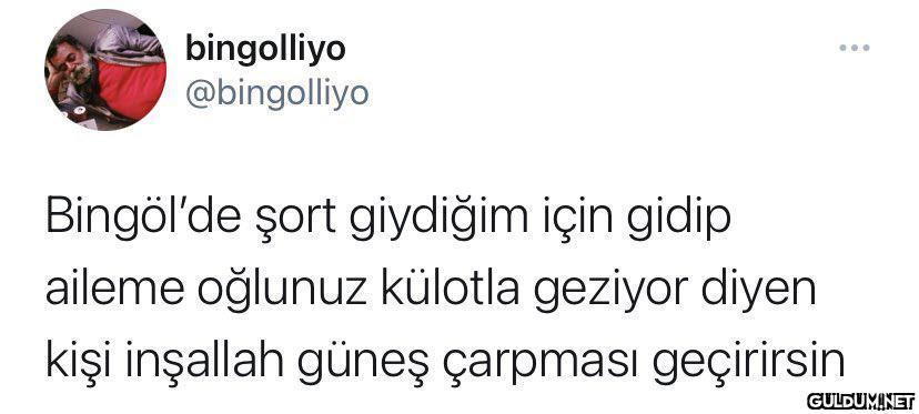 bingolliyo @bingolliyo ......