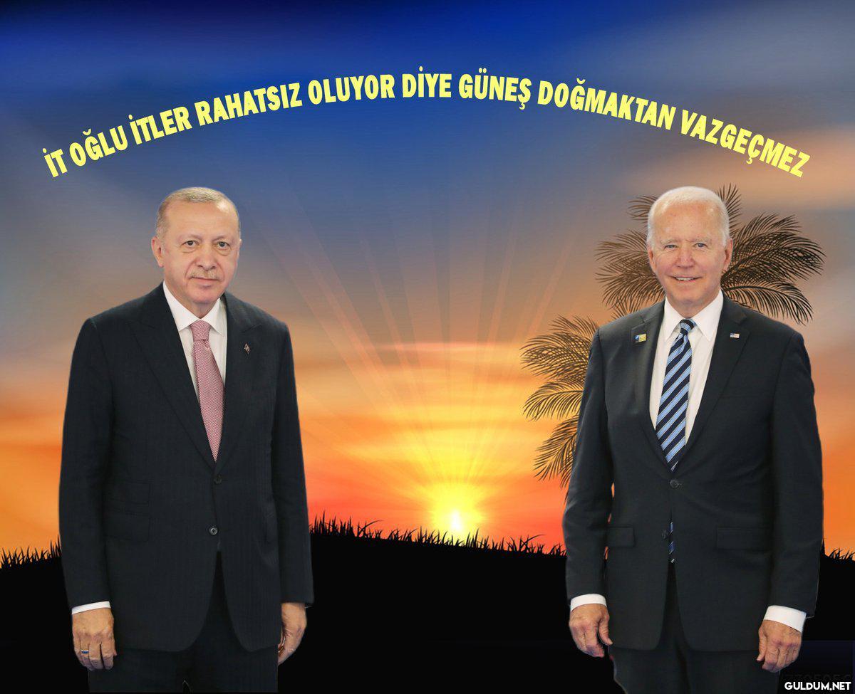 İT OĞLU İTLER RAHATSIZ...