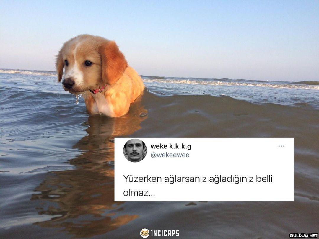 Acılara yürüyor...