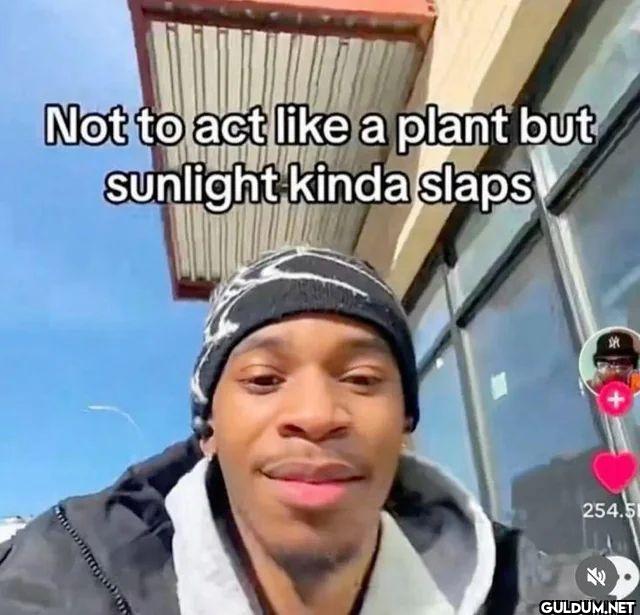 Not to act a plant but...