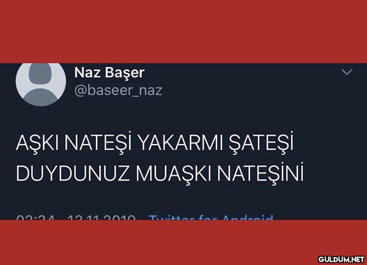 BUDUR!    Naz Başer...
