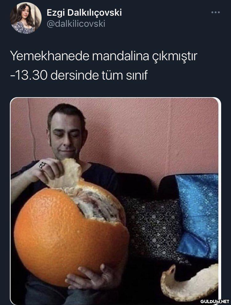 Ezgi Dalkılıçovski...