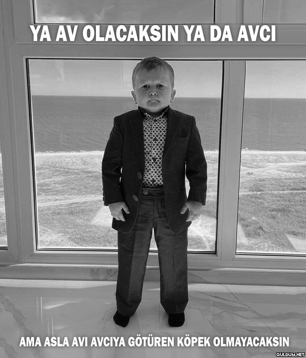 YA AV OLACAKSIN YA DA AVCI...