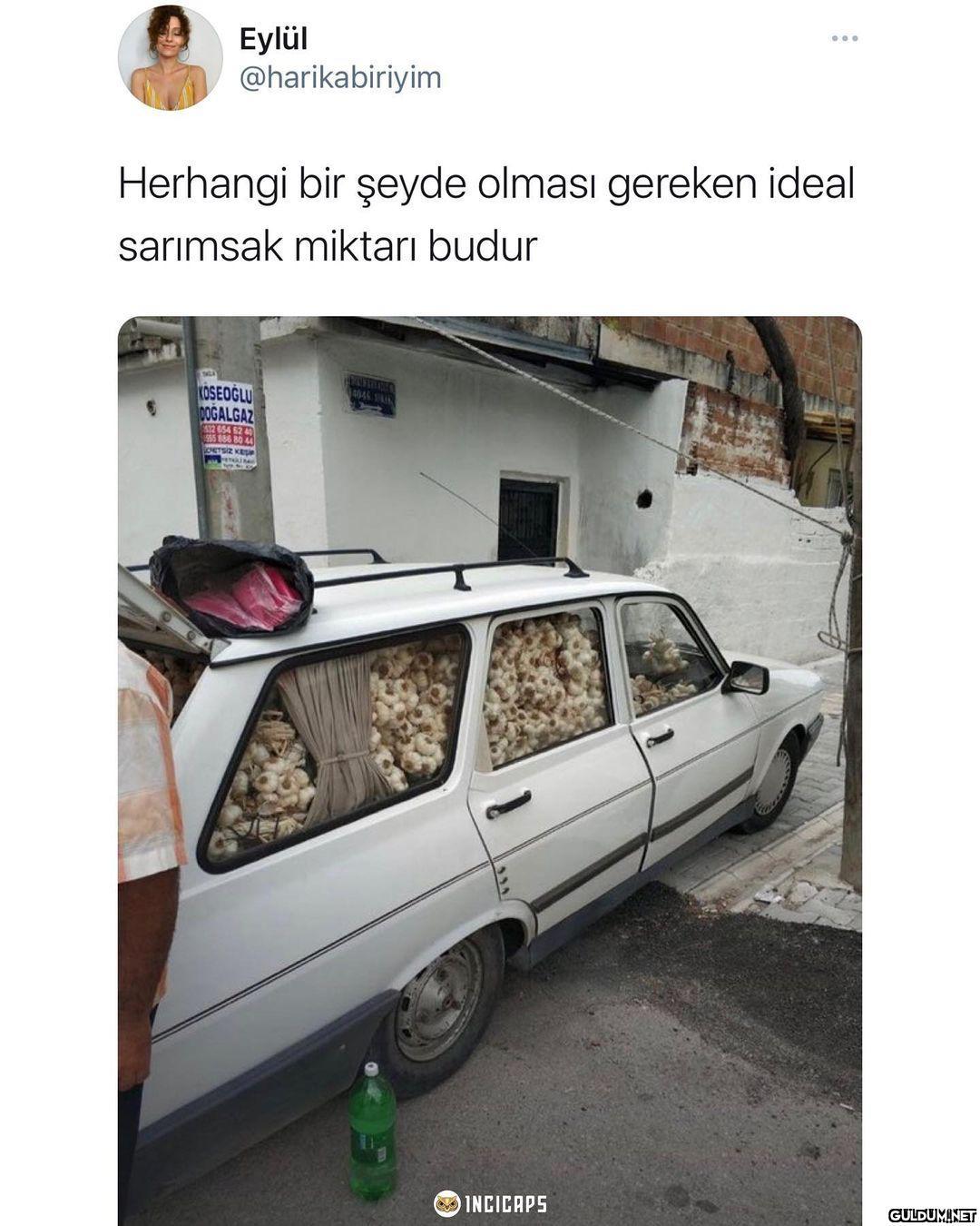 Eylül @harikabiriyim...