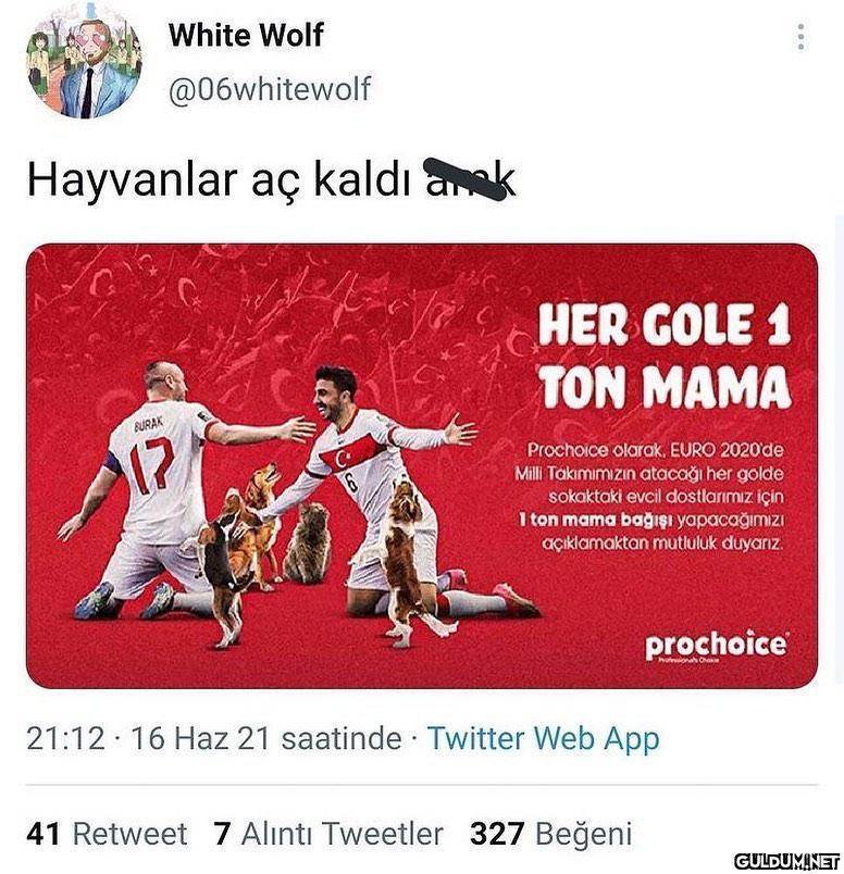 White Wolf @06whitewolf...