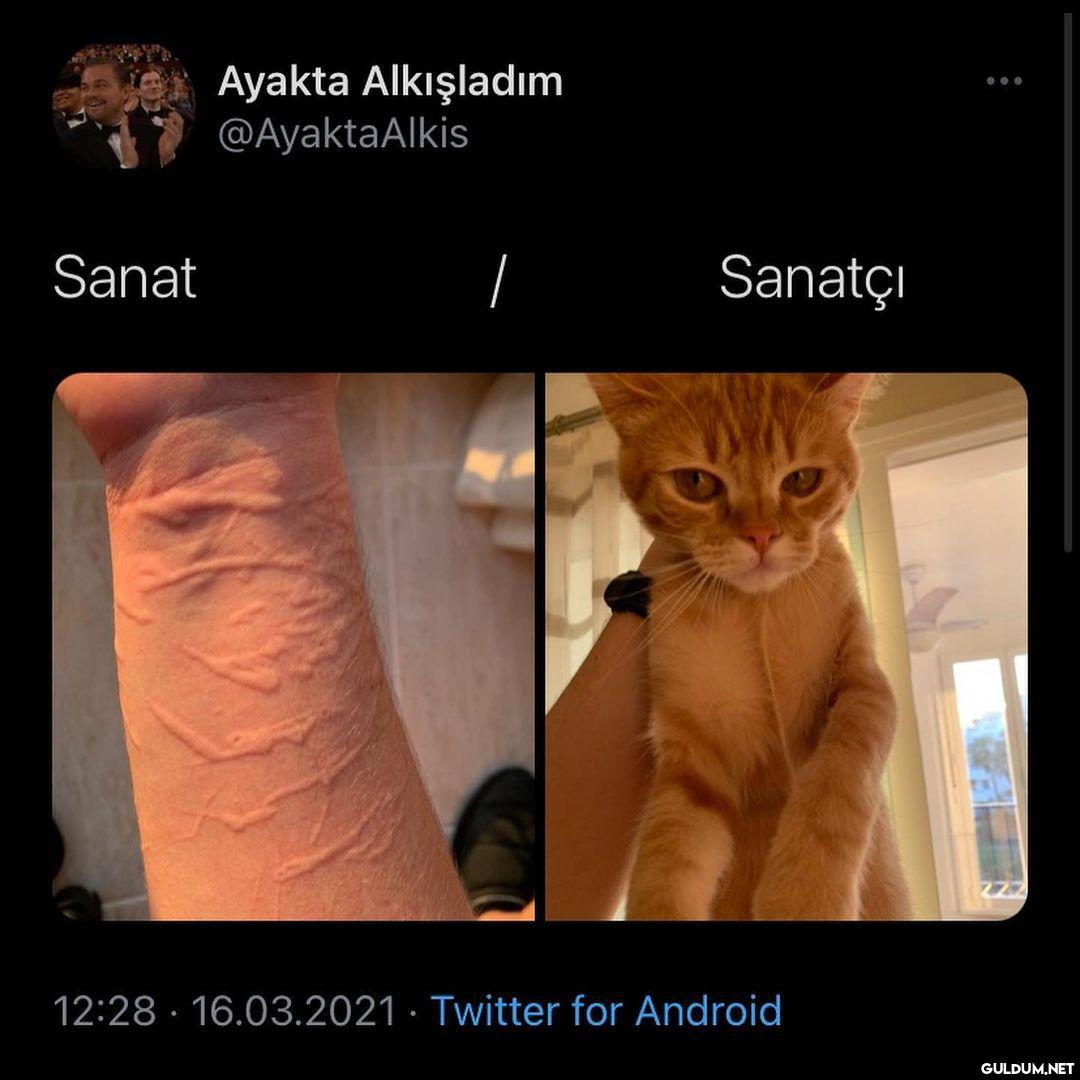 Ayakta Alkışladım...
