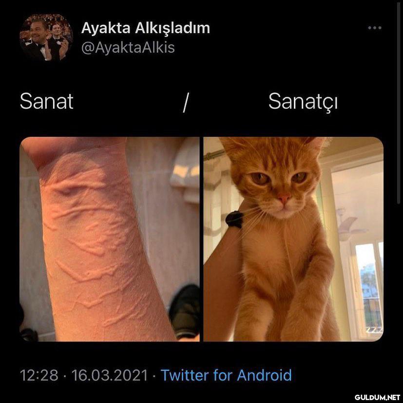 Ayakta Alkışladım...