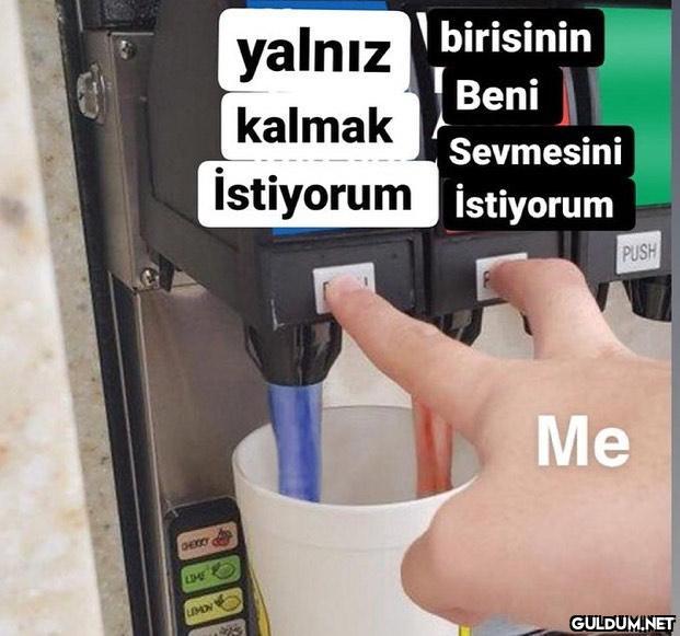 yalnız birisinin kalmak...