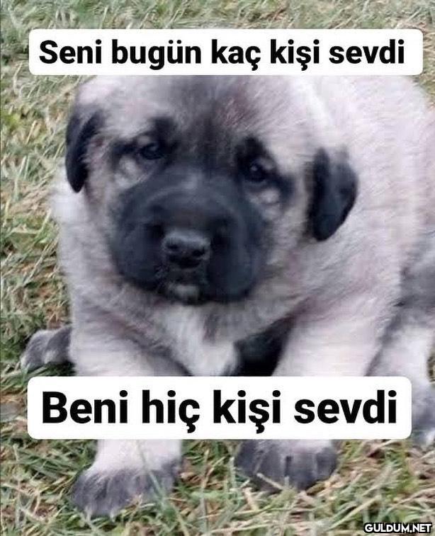 Ağlayanlar 😭  Seni bugün...