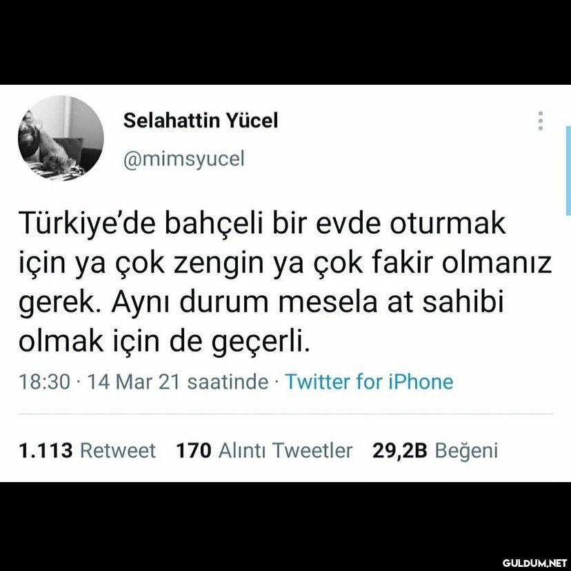 Selahattin Yücel...