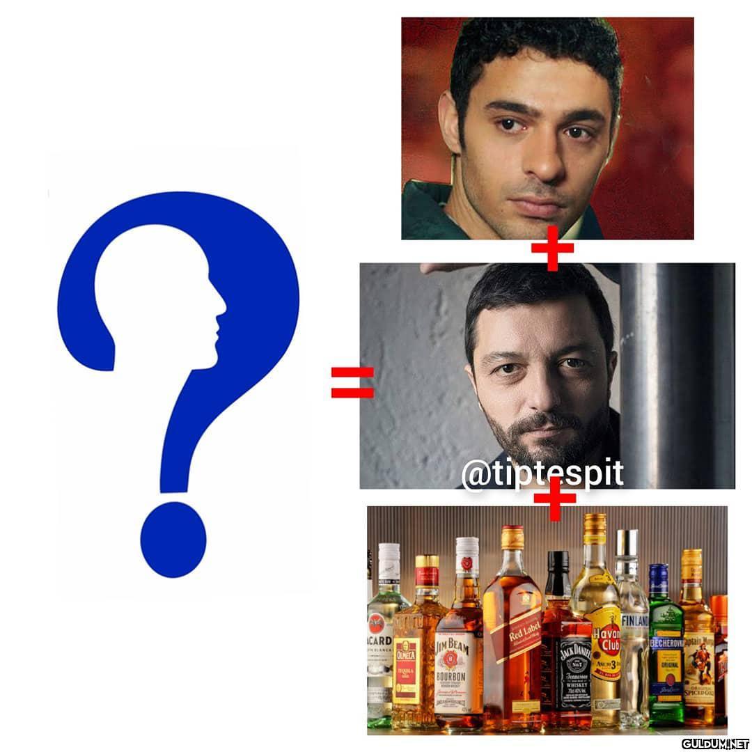 Halit Özgür Sarı...