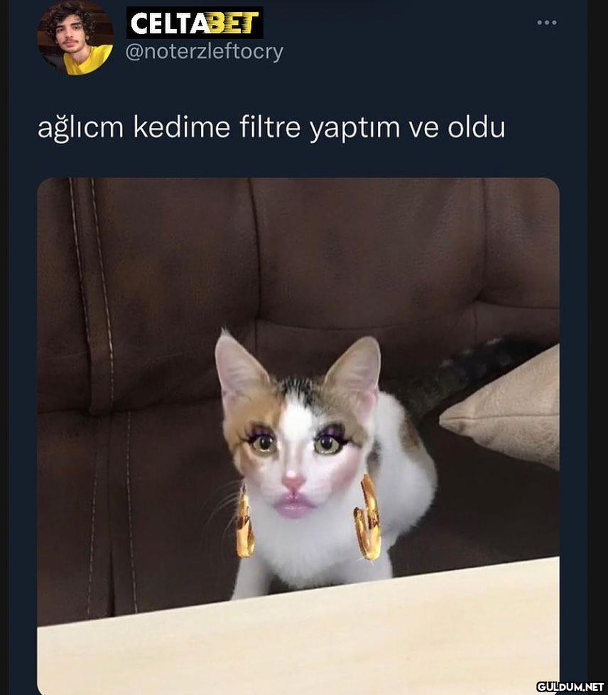 orig_856x978e0adb6816f900a730748c9ad25c8