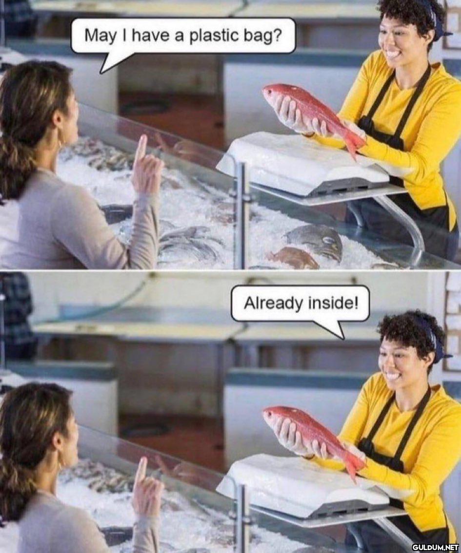 May I have a plastic bag?...
