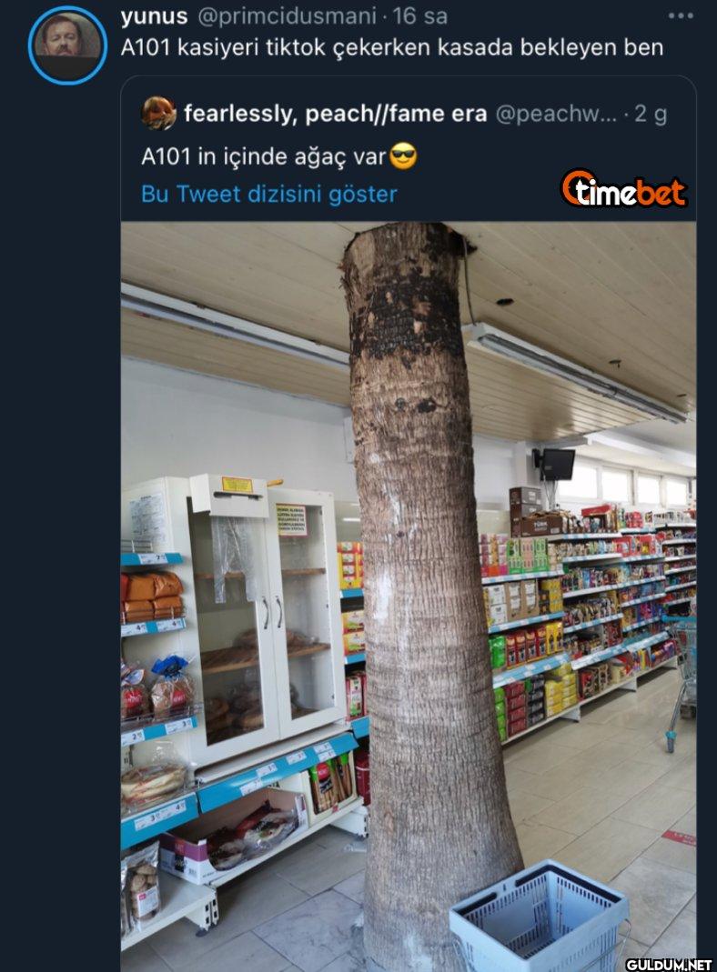 - 16 sa A101 kasiyeri...