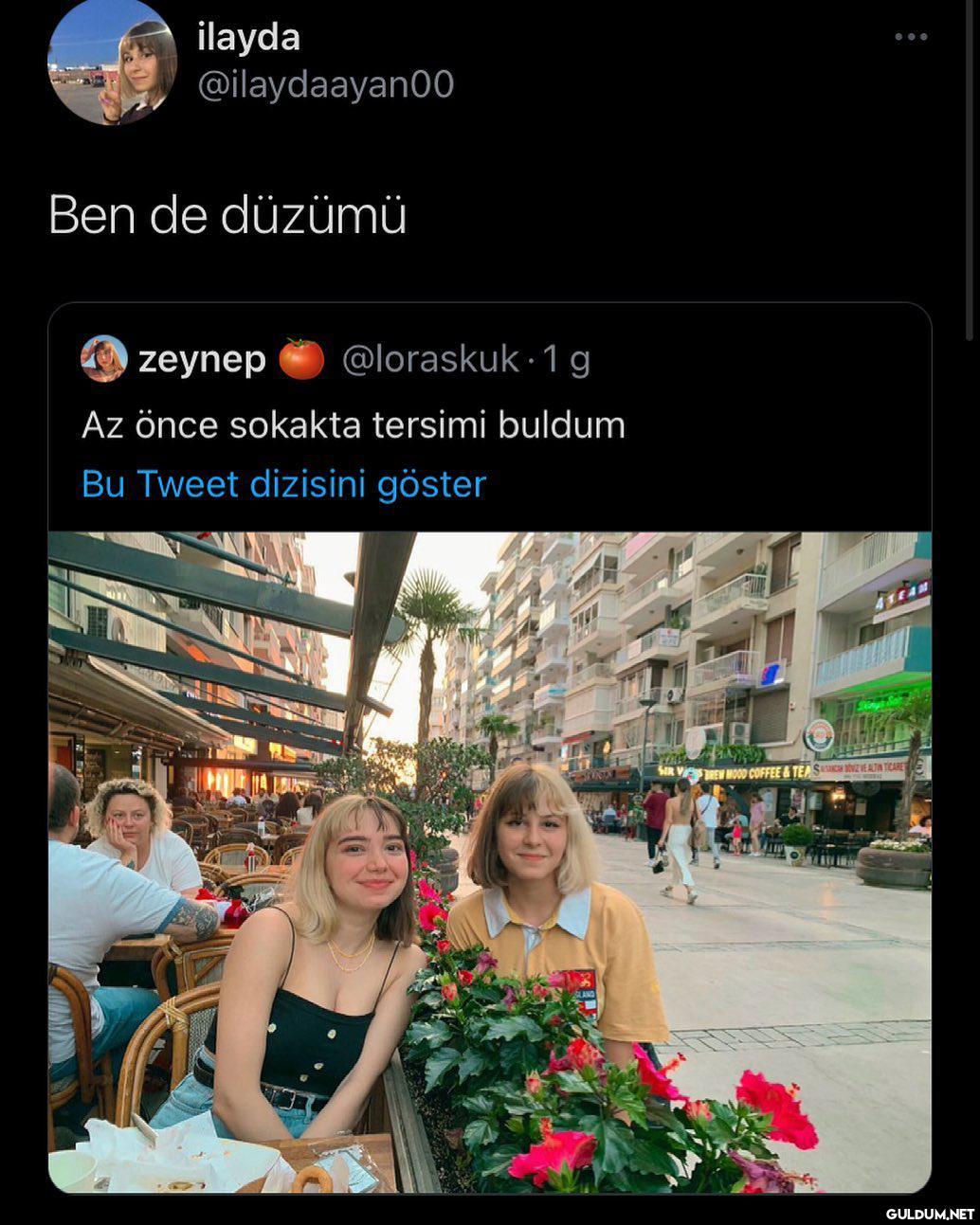ALFKSLFKSKF HARİKA  ilayda...