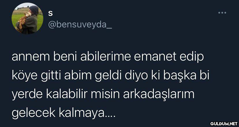 gerçek abilik budur ...