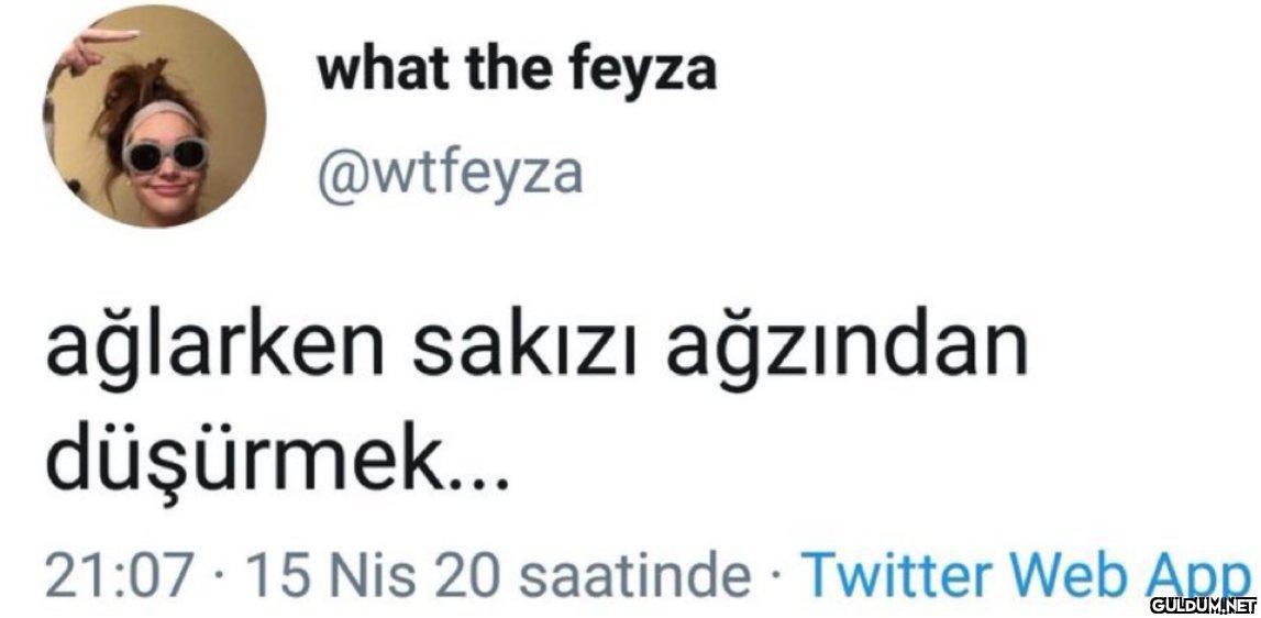 what the feyza @wtfeyza...