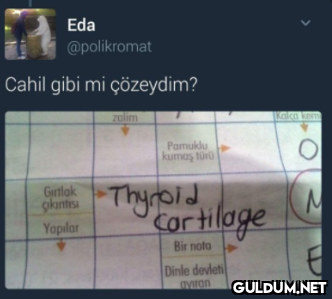 Eda @polikromat Cahil gibi...