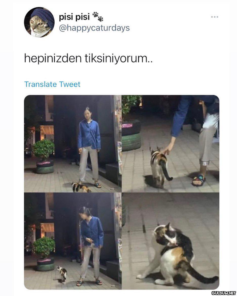 pisi pisi *...