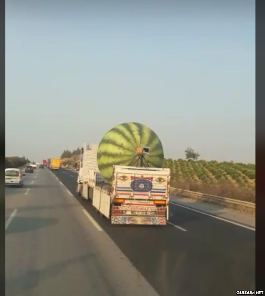 Biri Diyarbakır kayyumuna...