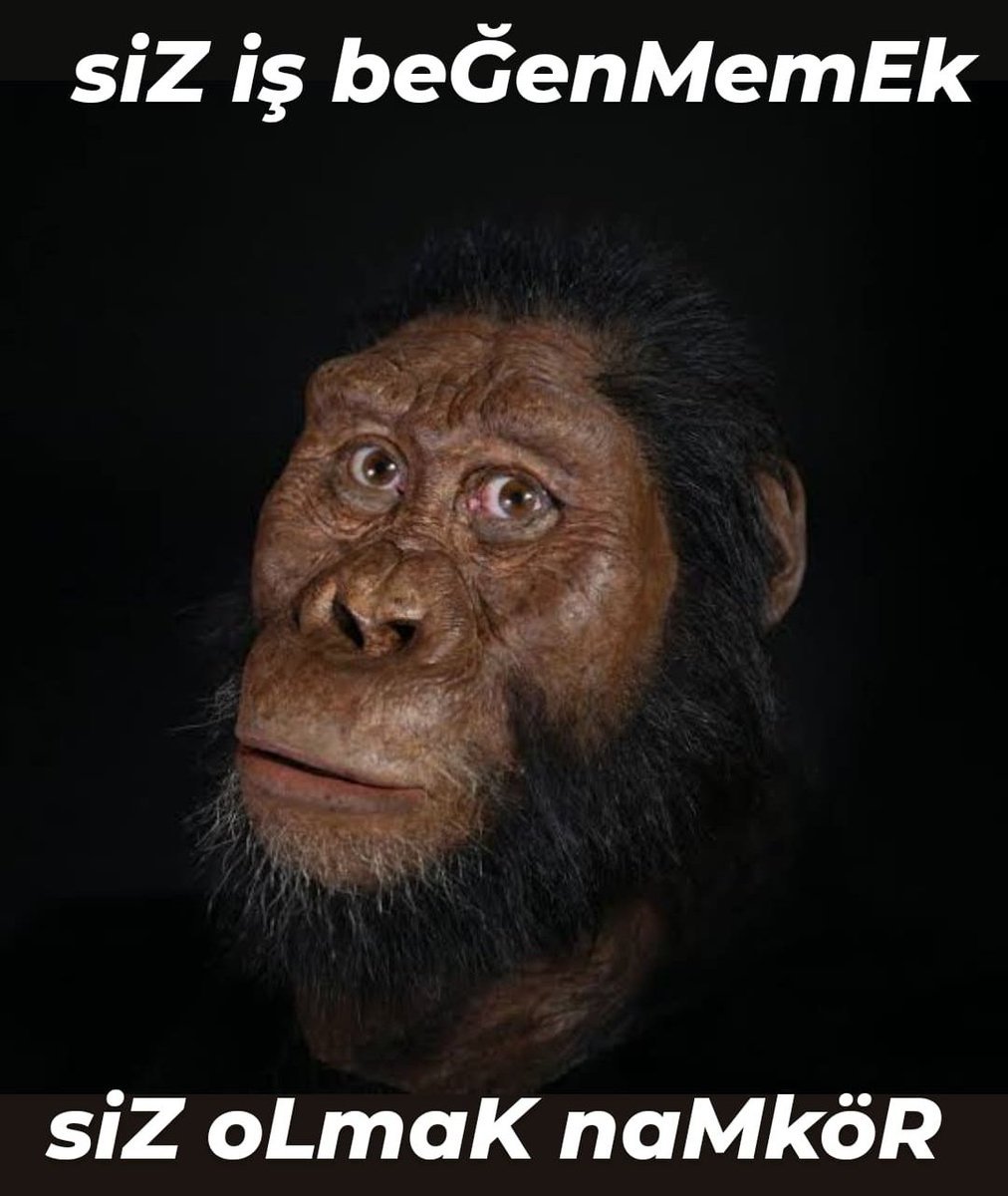 siz iş beĞenMemEk siZ...