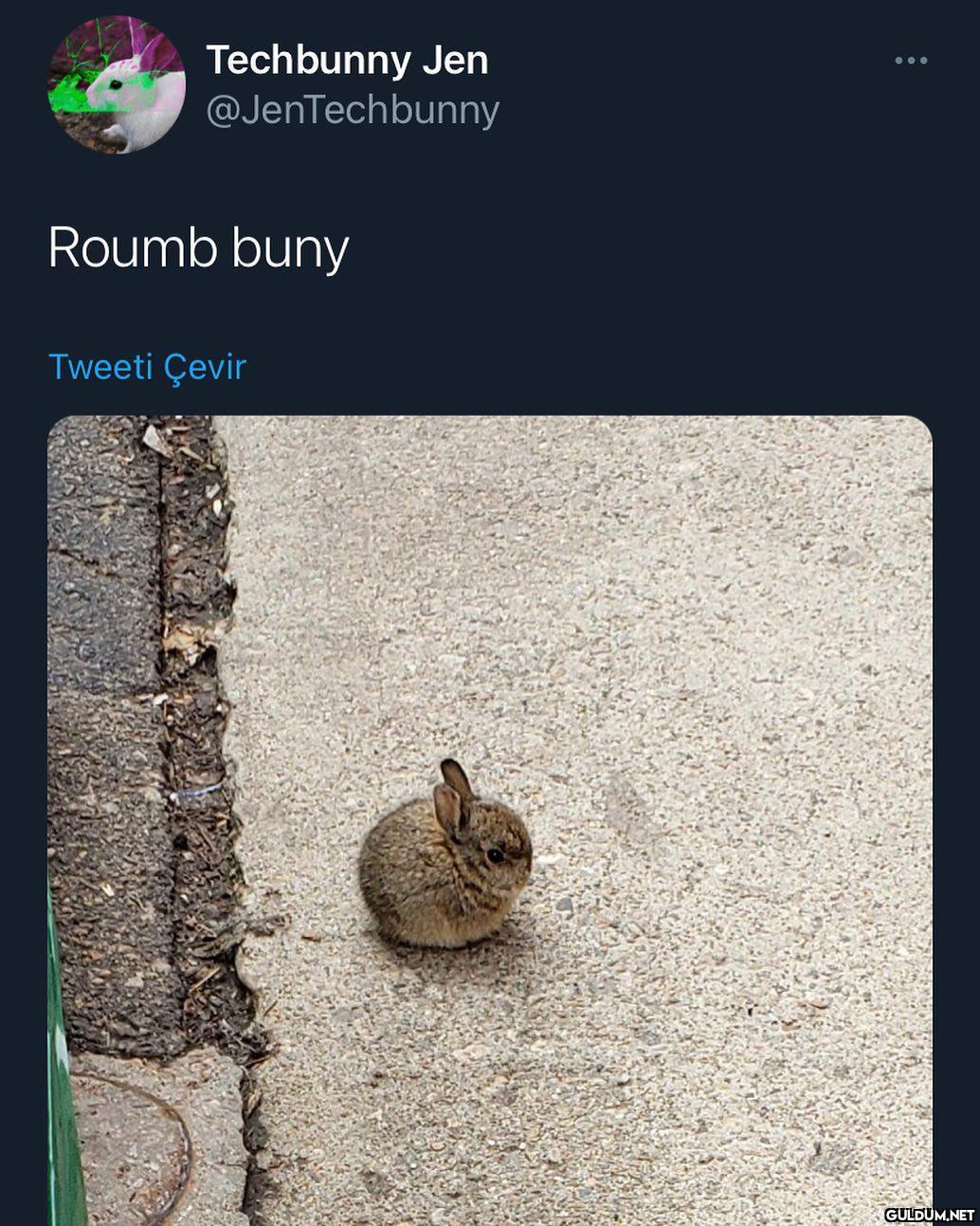 tipe bak lnn  Techbunny...