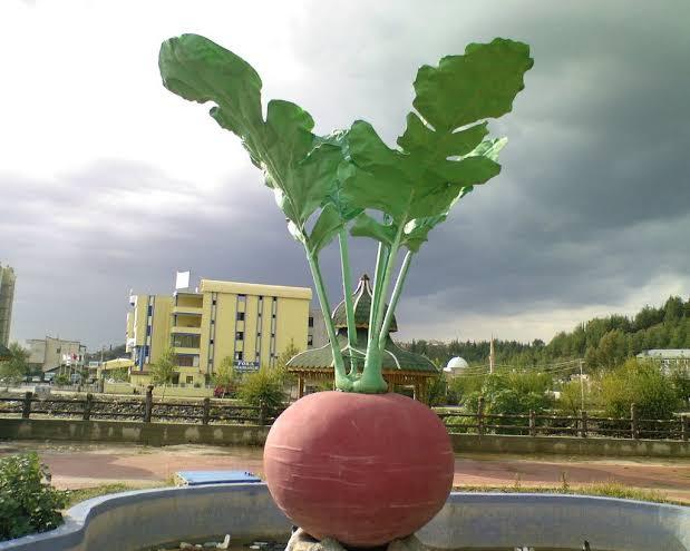 Turp heykeli,...