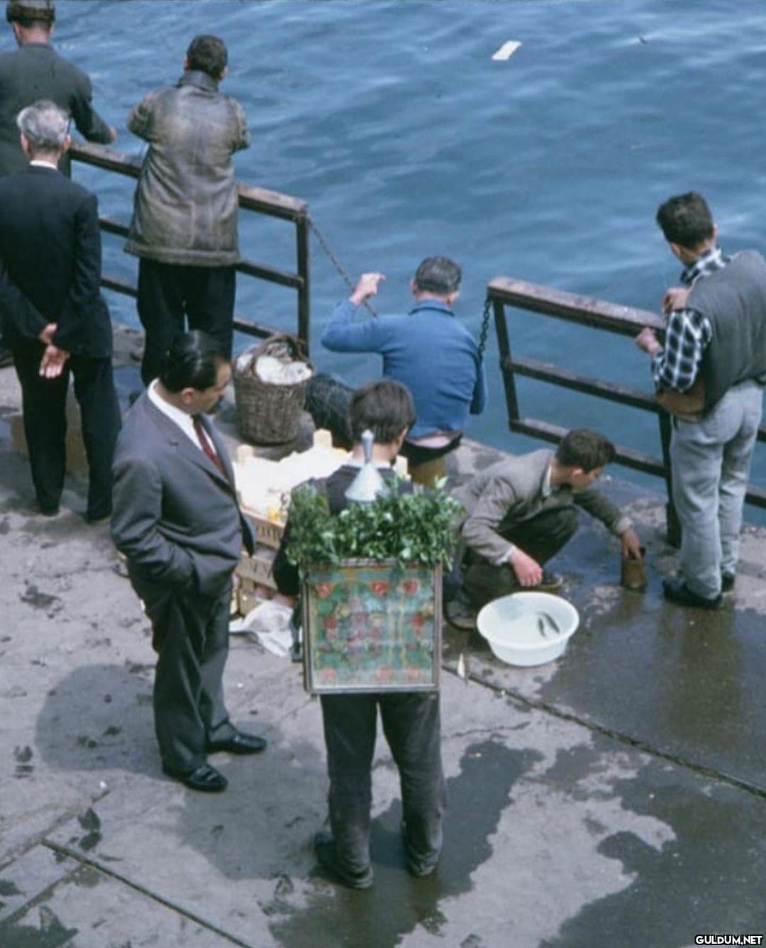 Amerikalı fotoğrafçı...