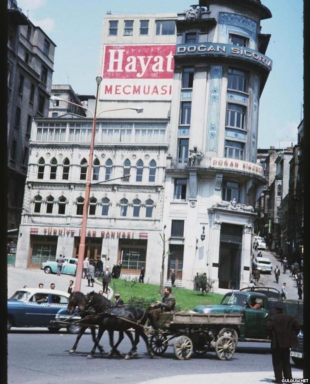 Amerikalı fotoğrafçı...