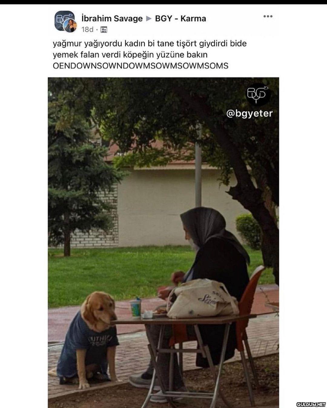 cabuk tipine bakın  ......