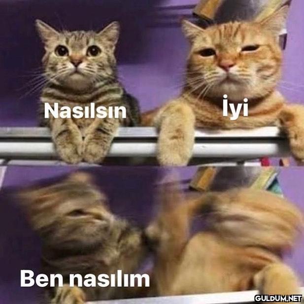 ben nasilim  Nasılsın i...