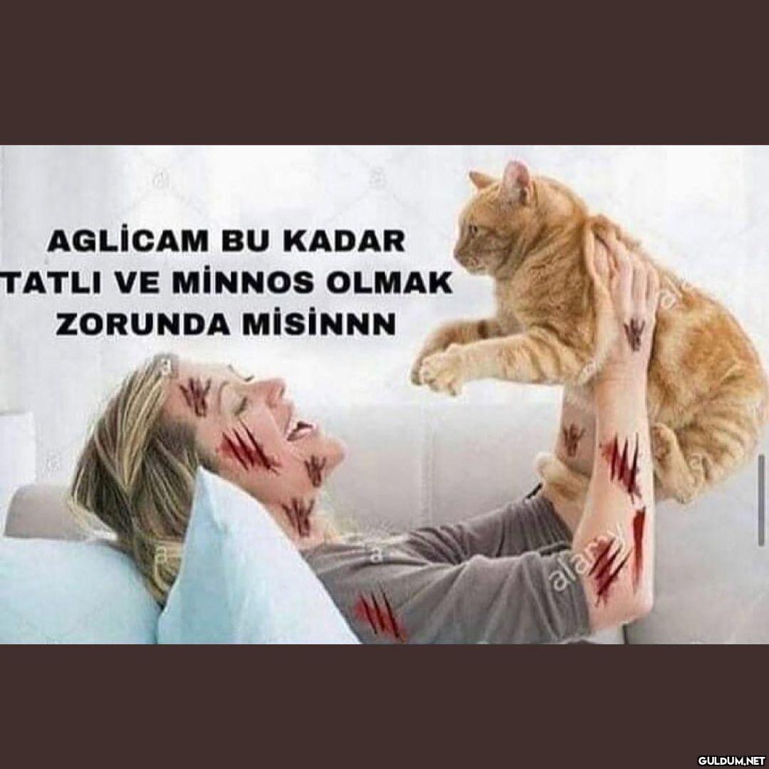 AGLİCAM BU KADAR TATLI VE...
