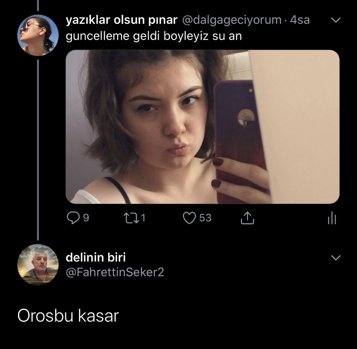 yazıklar olsun pinar...