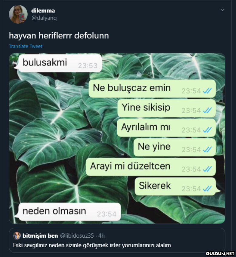 dilemma @dalyanq hayvan...